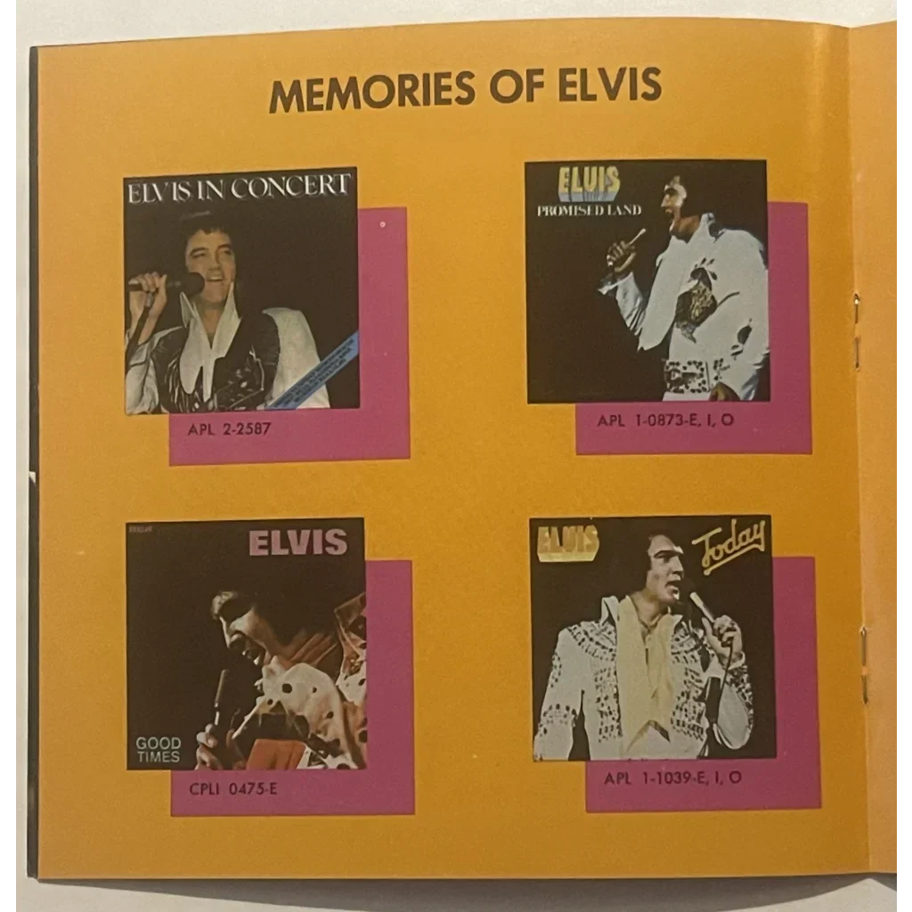 Vintage 1970s Elvis Presley Concert Photos From The Colonel