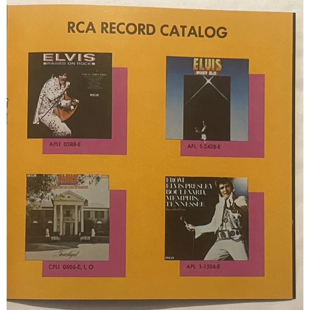 Vintage 1970s Elvis Presley Concert Photos From The Colonel